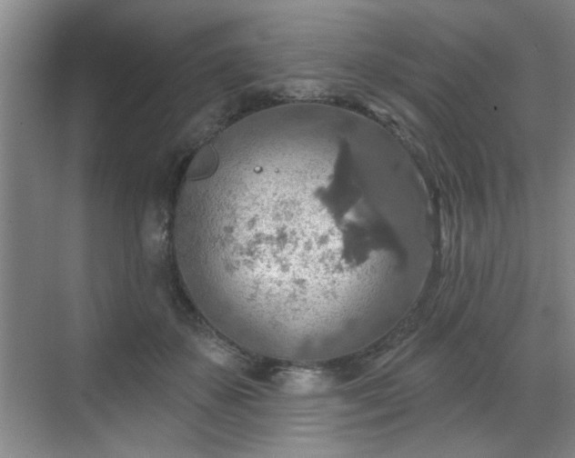 X0000070360507200606121213