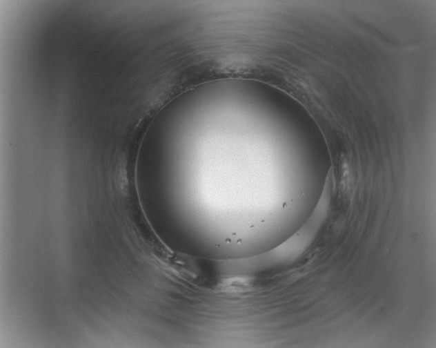 X0000070360508200606121213