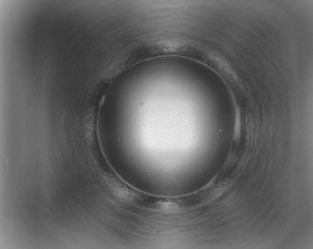 X0000070360509200606121213