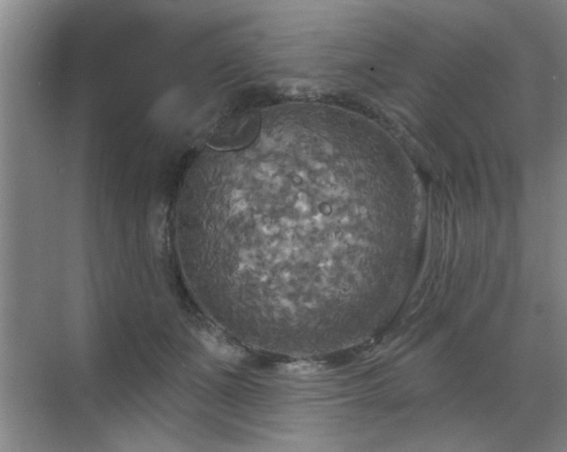 X0000070360511200606121213