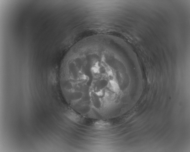 X0000070360515200606121212