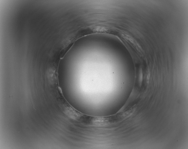 X0000070360521200606121212