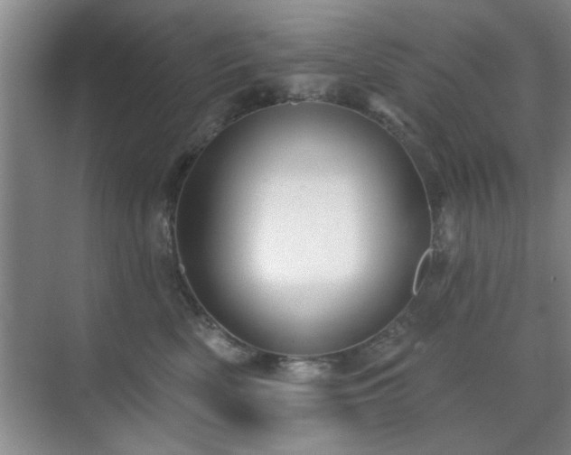 X0000070360522200606121212