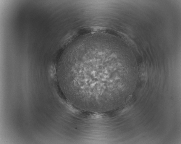 X0000070360523200606121212