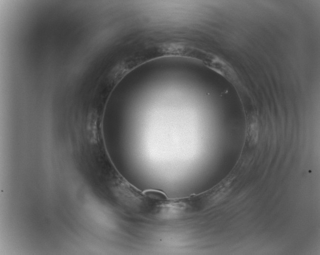 X0000070360525200606121212