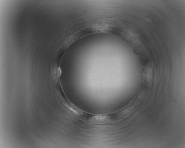 X0000070360526200606121212