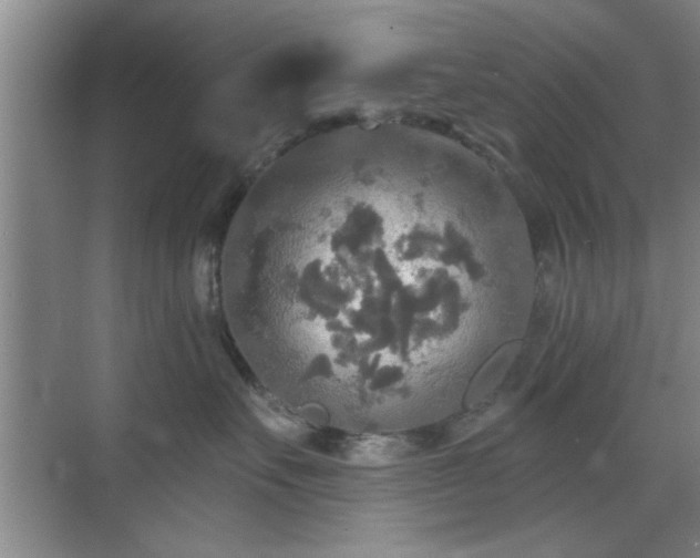 X0000070360527200606121212