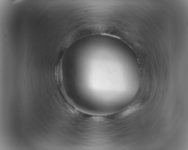 X0000070360528200606121212