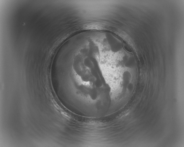 X0000070360529200606121211