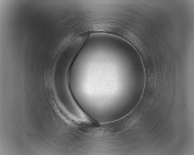 X0000070360530200606121211