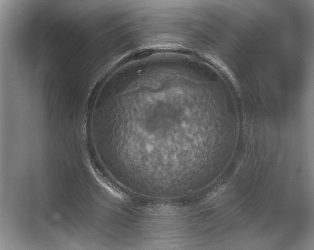 X0000070360533200606121211