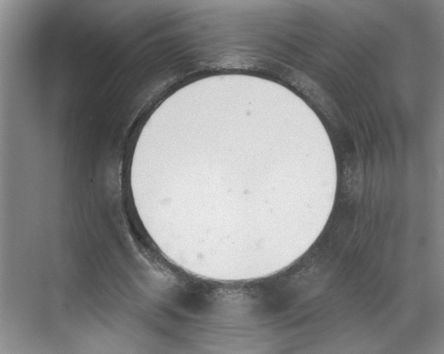 X0000070360534200606121211