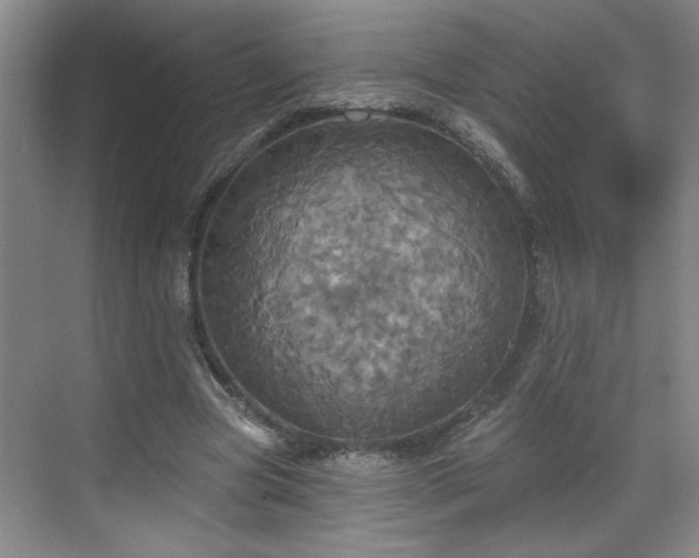 X0000070360537200606121212