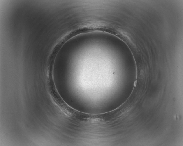 X0000070360539200606121212