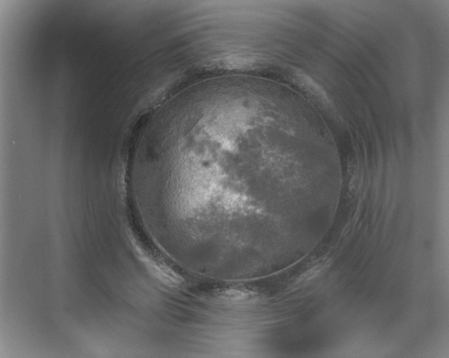 X0000070360542200606121212