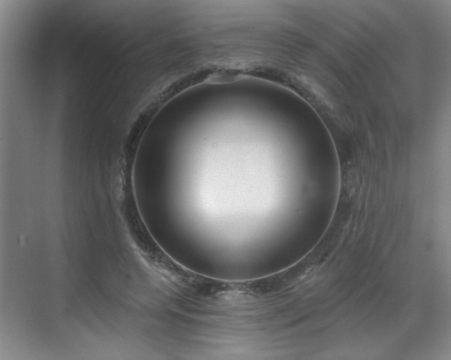 X0000070360544200606121212