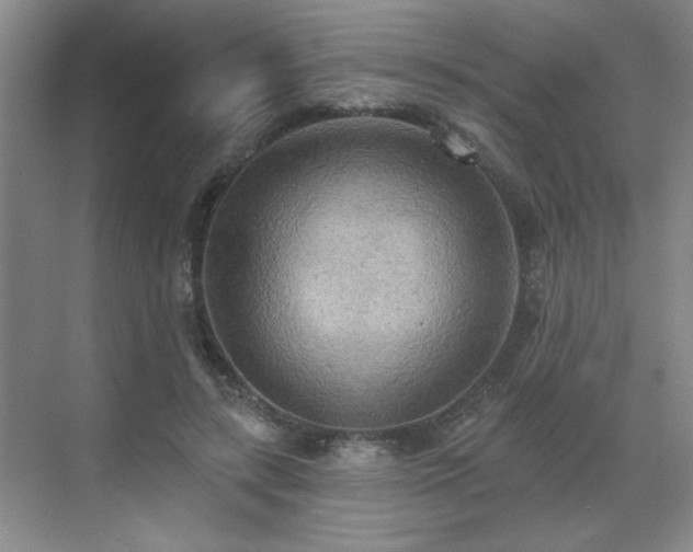 X0000070360547200606121212