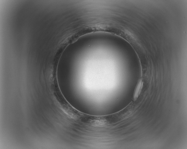 X0000070360548200606121212