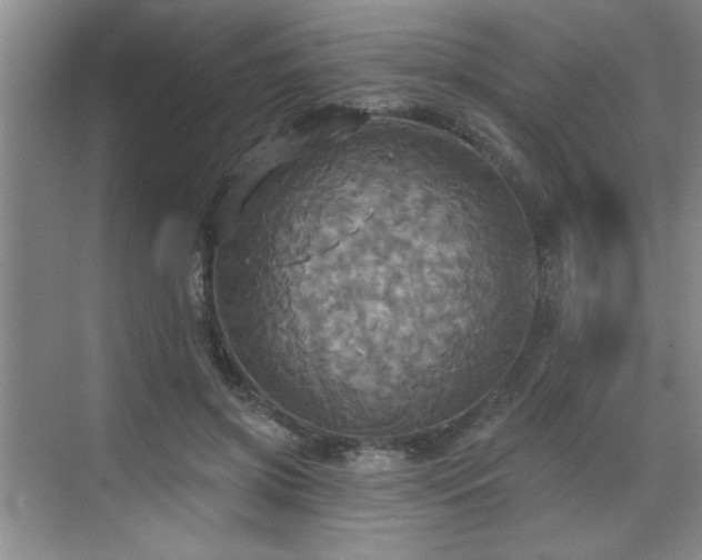 X0000070360549200606121212