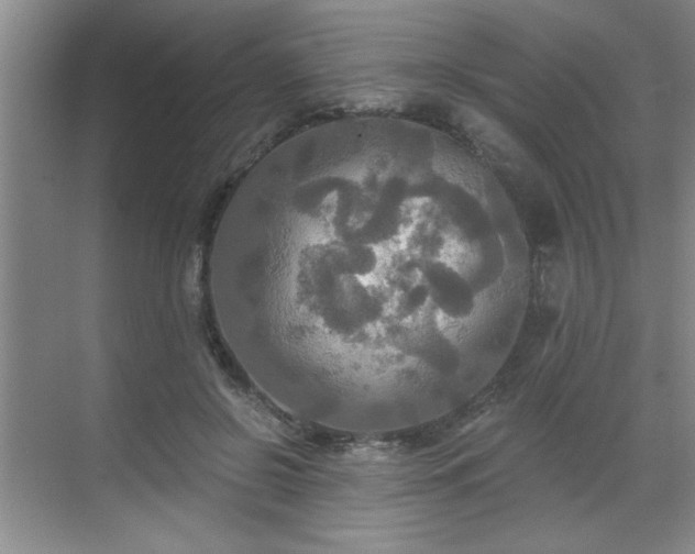 X0000070360550200606121212