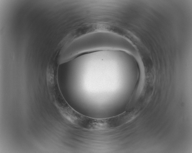 X0000070360552200606121212