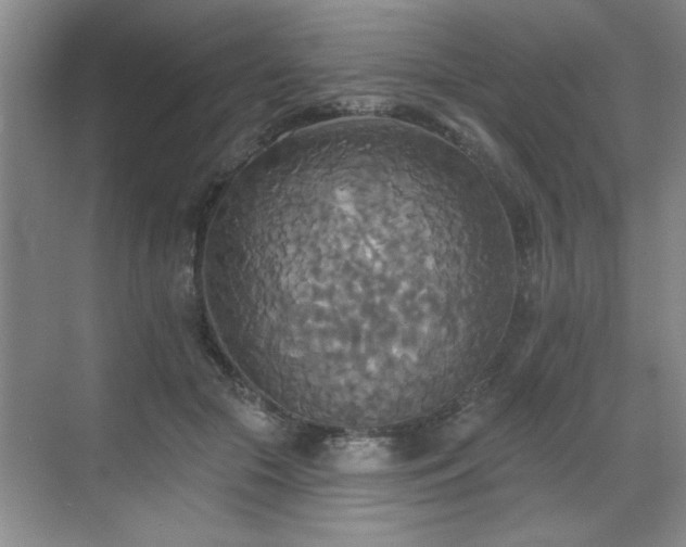 X0000070360553200606121212