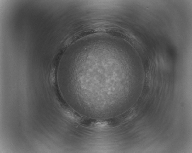 X0000070360554200606121212