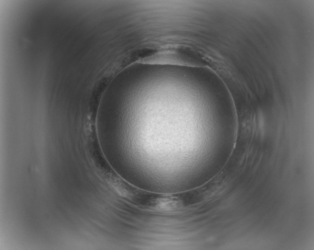 X0000070360555200606121212