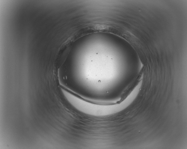 X0000070360556200606121212