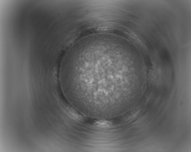 X0000070360557200606121212