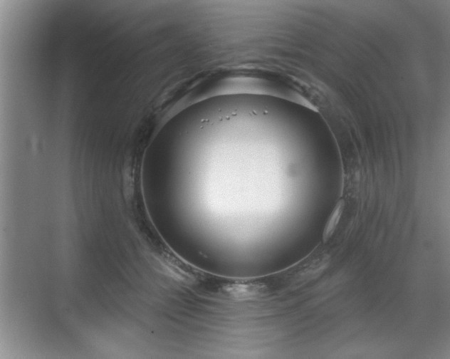 X0000070360558200606121212