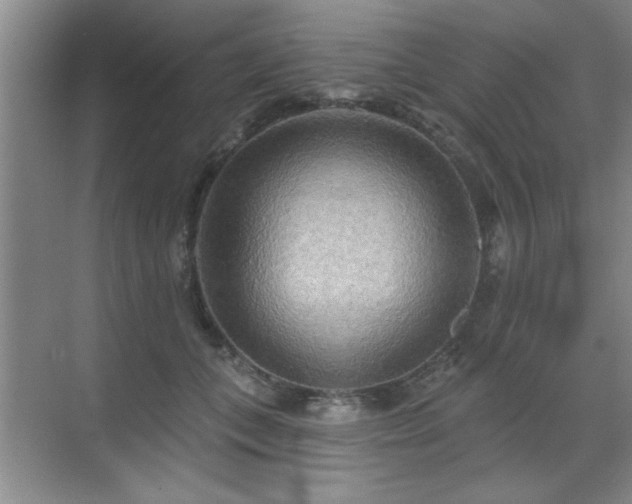 X0000070360559200606121212