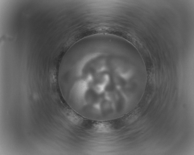 X0000070360561200606121212