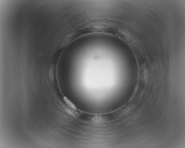 X0000070360562200606121212