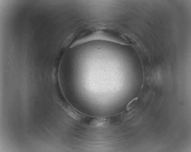 X0000070360563200606121212