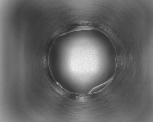 X0000070360564200606121212