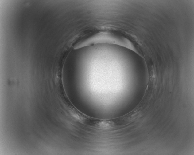 X0000070360566200606121212