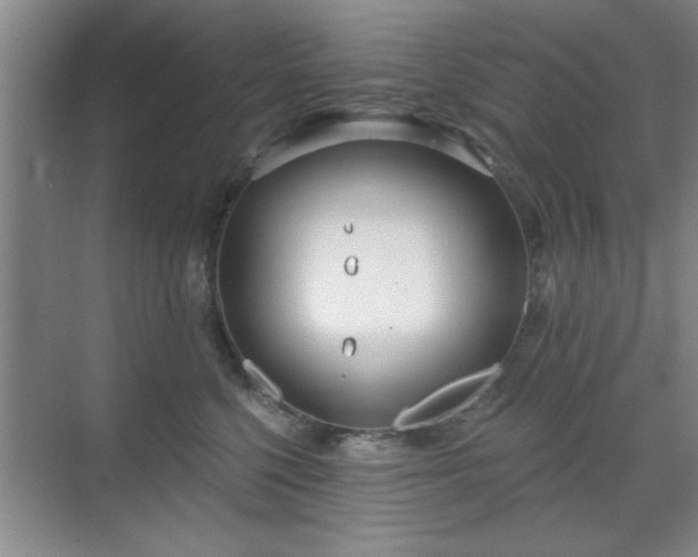 X0000070360568200606121212