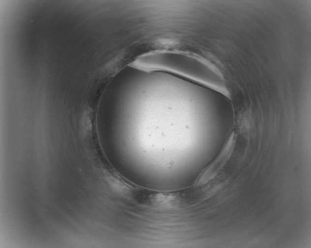 X0000070360570200606121212