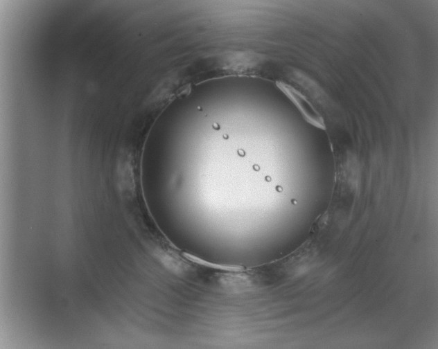 X0000070360572200606121212