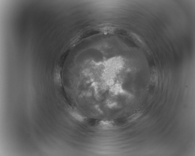 X0000070360573200606121212