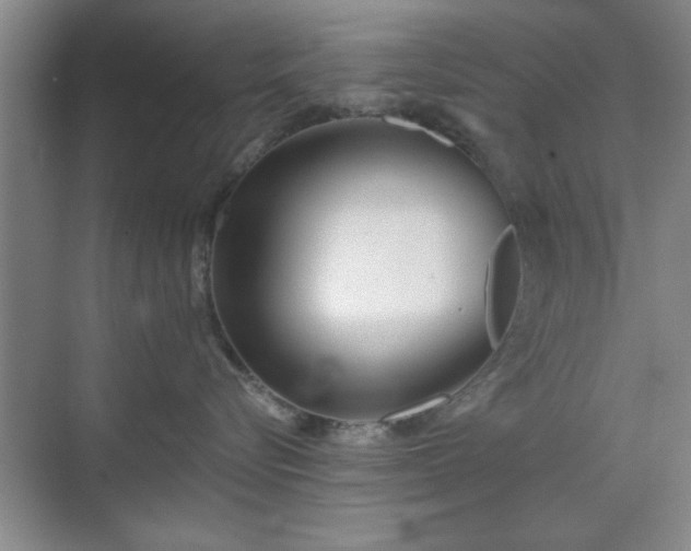 X0000070360576200606121212