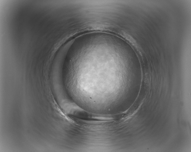 X0000070360577200606121211