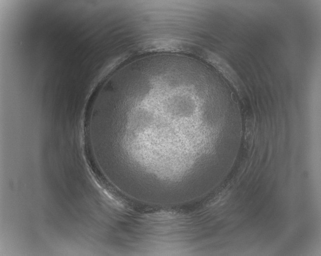 X0000070360578200606121211