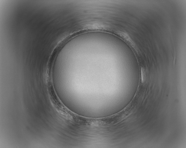 X0000070360579200606121211