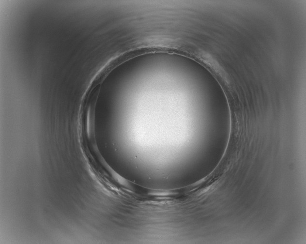 X0000070360580200606121211