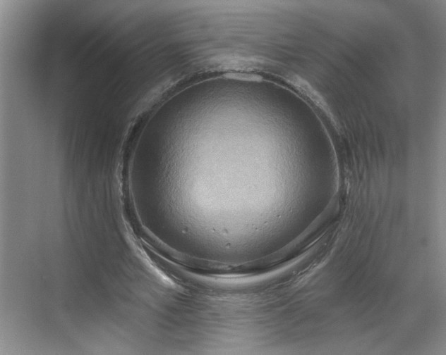 X0000070360581200606121211