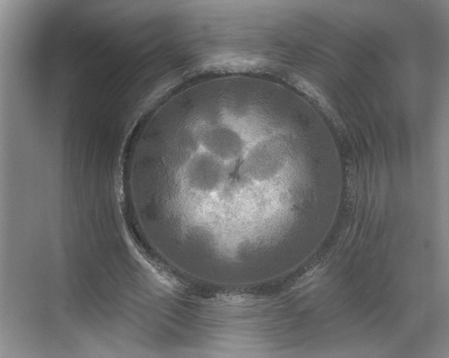 X0000070360582200606121211