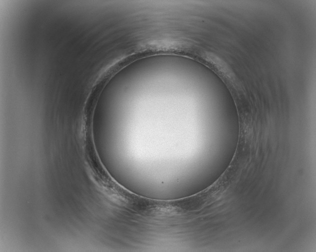 X0000070360583200606121211