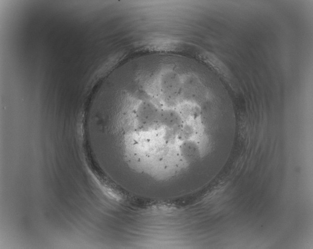 X0000070360586200606121211